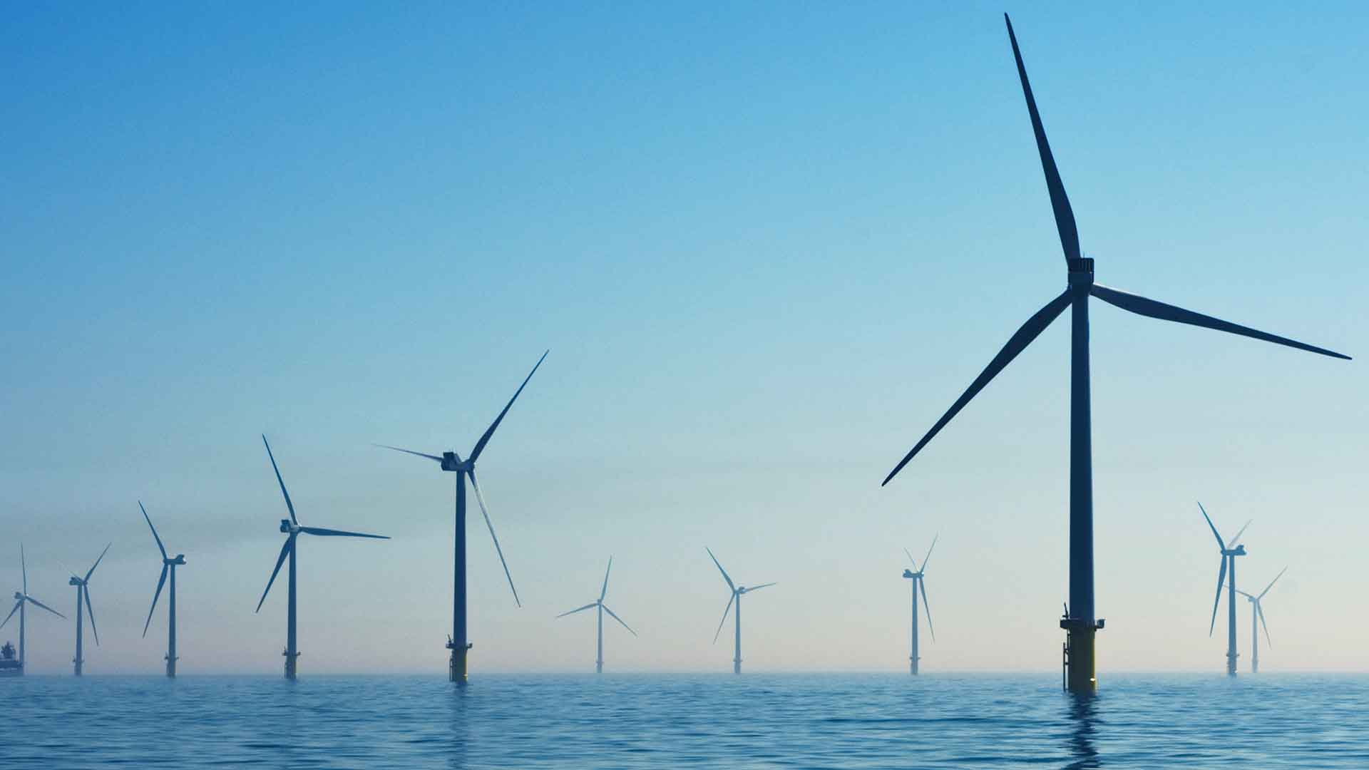 Financiamiento y apoyos